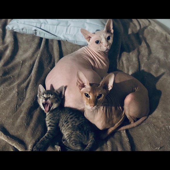 Meet your Posher, Jamie - Picture 8 of 10